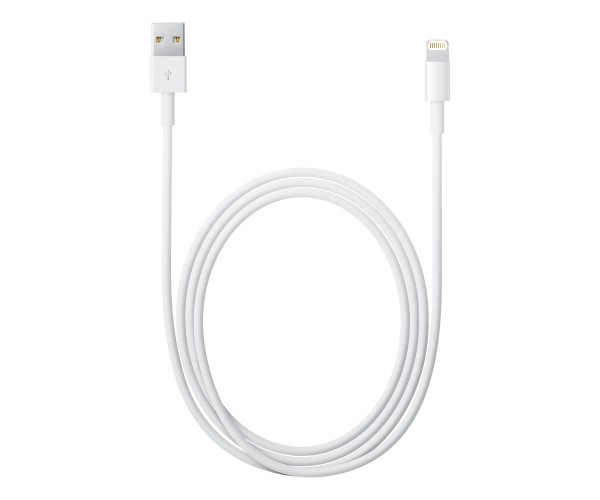 LIGHTNING TO USB CABLE (1 M)